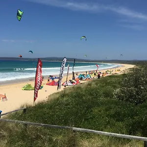 Black Dolphin And Merimbula